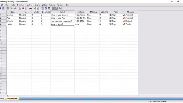 spss class- introductory class смотреть онлайн