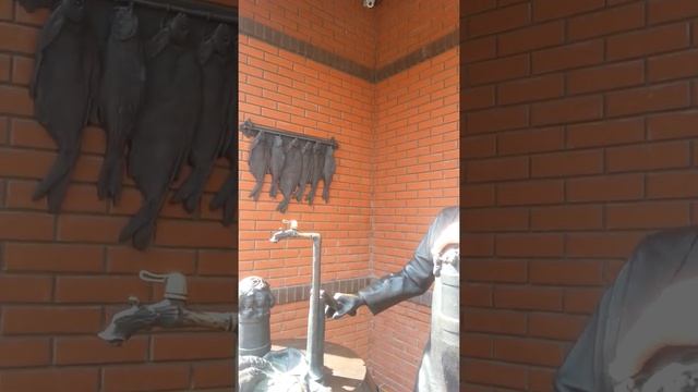 На Дне. Андрей Демидов. Прогулки по Самаре. смотреть онлайн