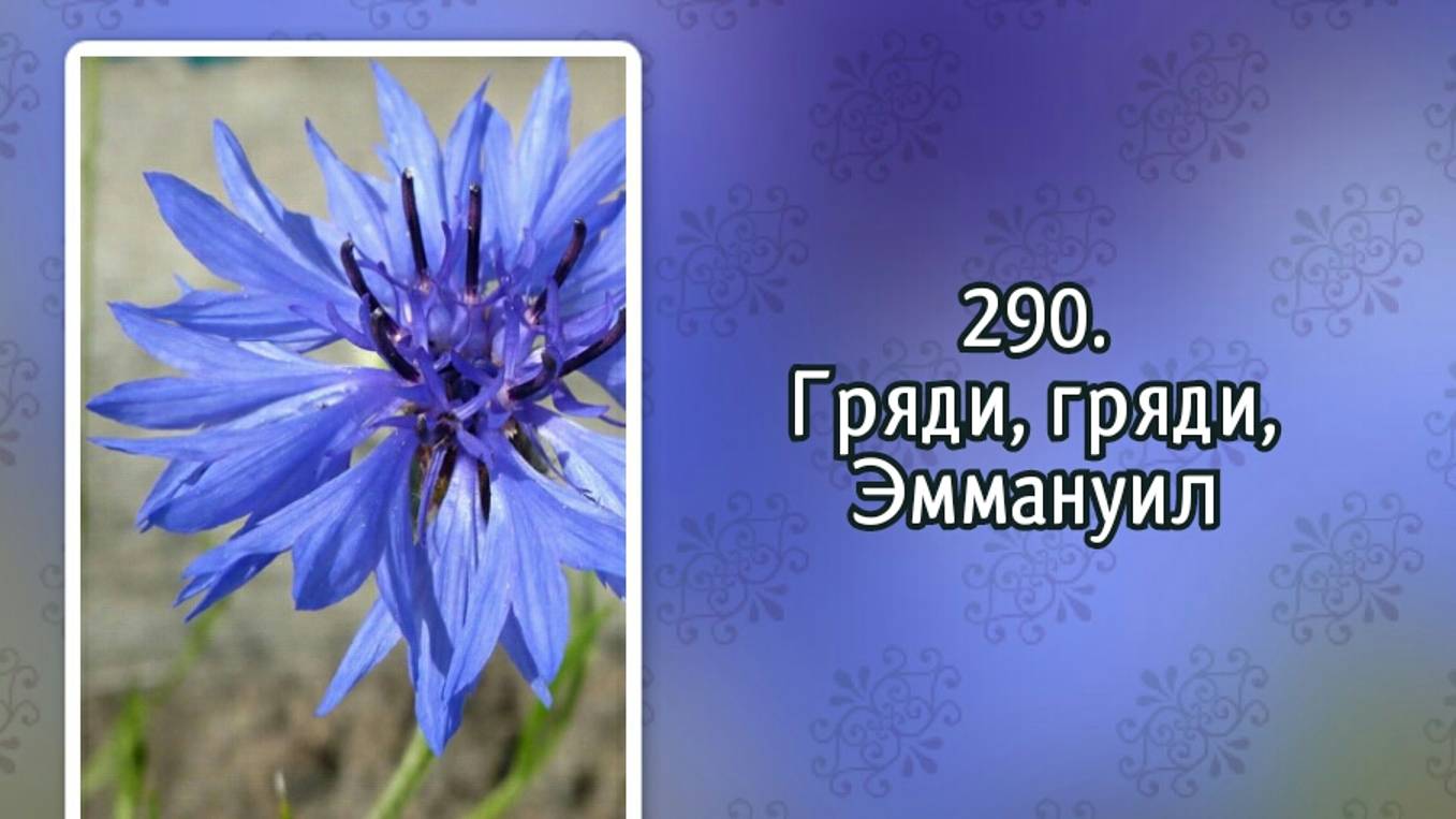 Гимны надежды 290 Гряди, гряди, Эммануил (-) смотреть онлайн