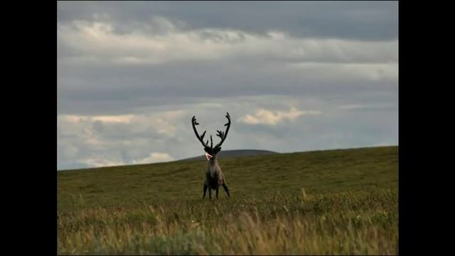 Забытые Пирамиды России.