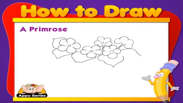 Learn To Draw Flower - Draw A Primrose