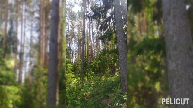 Не всегда просит прощения тот, кто виноват. Просит прощения тот, кто дорожит отношениями. смотреть онлайн