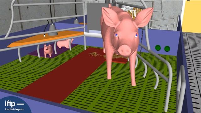 Quelles solutions pour le bâtiment des truies en maternité des élevages de porcs de demain ? смотреть онлайн