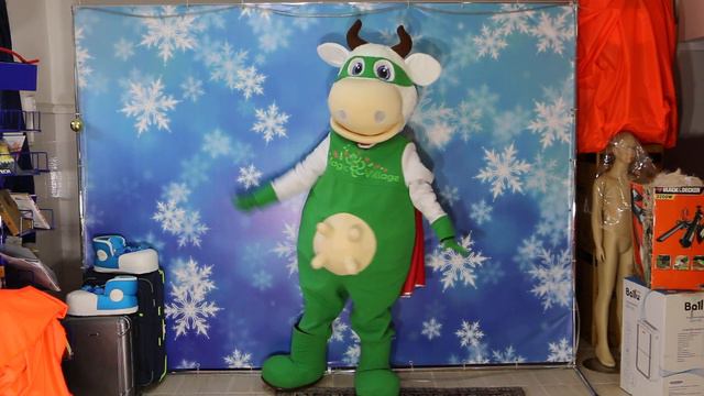 Caw Mascot Costume In Green Super Hero Costume For Healthy Food Shop