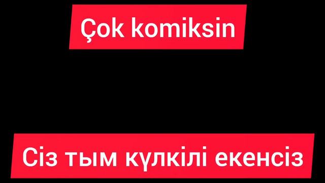 перевода на турецкий и казахский языки.Түрікше Қазақша аударма сөздер смотреть онлайн