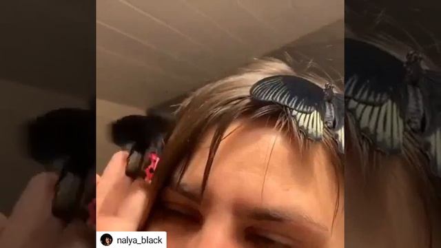 Ферма бабочек от Магазина бабочек. Ру смотреть онлайн