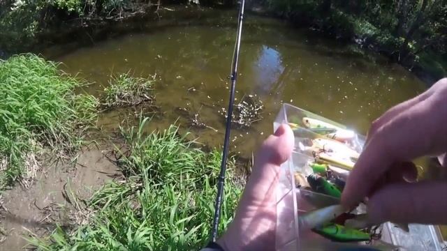 Верховья микро-речки. Тестирование MC Dodger DGS-702L.mp4