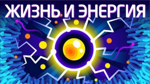 Почему вы живы: жизнь, энергия и АТФ