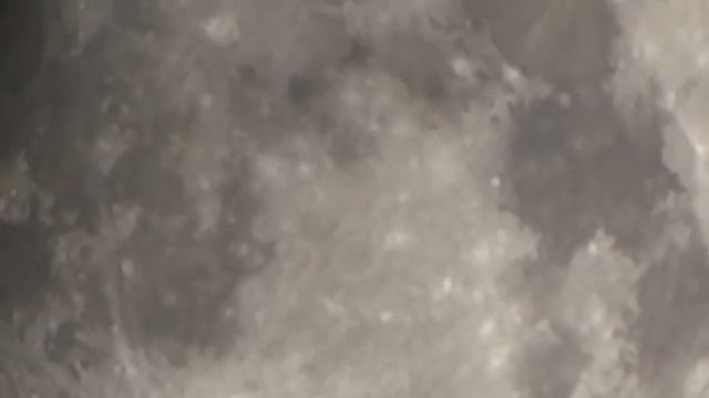 MAH00054 смотреть онлайн