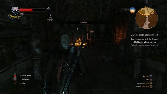 The Witcher 3 Wild Hunt Find The Diagrams to All The Elements of Cat School Witcher Gear смотреть онлайн