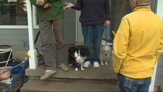 Top Stories: 11 p.m. 3-5-19 смотреть онлайн