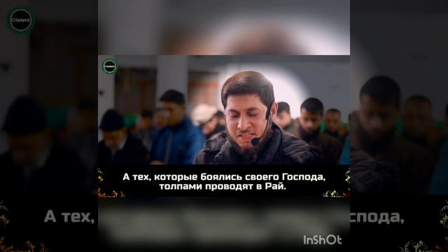 Красивое чтение до слез. (Сура- Зумар) смотреть онлайн