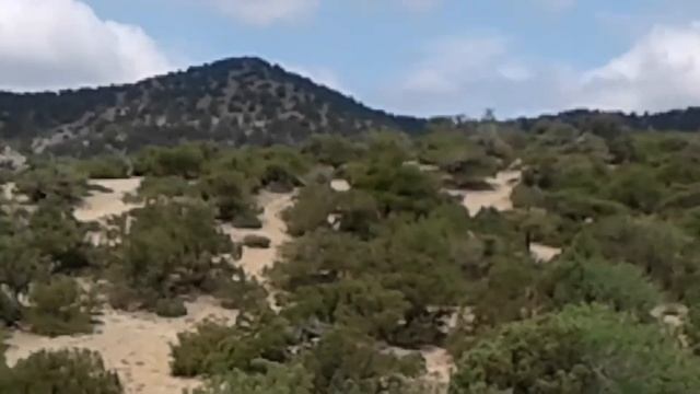 Крым, Новый Свет, Можжевеловая Роща/2020 часть3 #КрымМожжевеловаяРоща смотреть онлайн