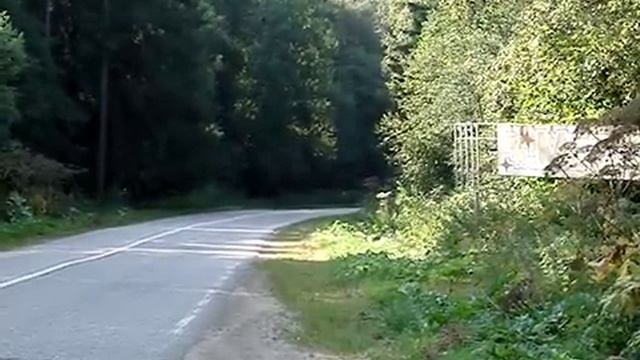 Торможение передачами на CB 400 смотреть онлайн