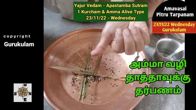 Amavasai Tarpanam Yajur Vedam Apastamba Sutram 1 Kurcham Amma Alive Type 23/11/22 Wednesday смотреть онлайн