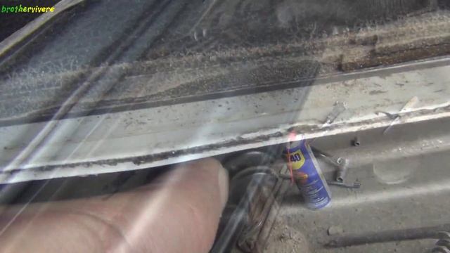 Женский ринг: мир кулаков