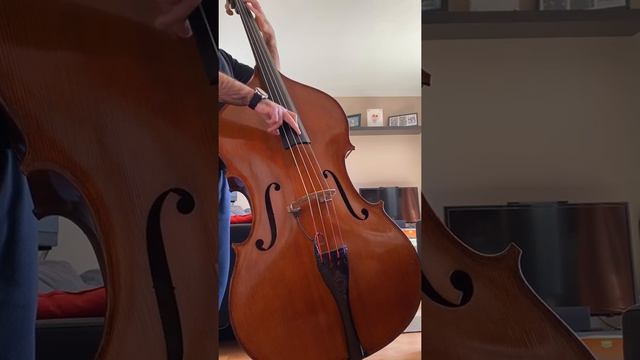 Double Bass for sale смотреть онлайн