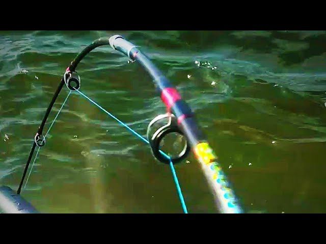 ЭЭЭЭТООО ШОООК!!!! МОНСТРЫ ГЛУБИНЫ С РОСТ И ВЕС ЧЕЛОВЕКА!!! РЫБАЛКА 2021 смотреть онлайн