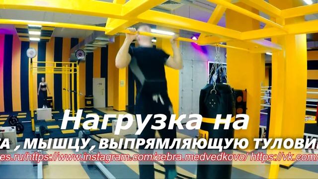 Зебра Медведково смотреть онлайн