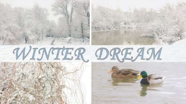 WINTER DREAM // ЗИМНИЙ СОН.mp4