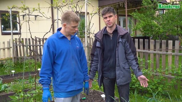 Желтеет чеснок! Обязательно посмотрите на листья чеснока чтобы не остаться без урожая!Как исправить смотреть онлайн