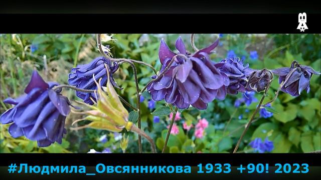 Геннадий Каменный БЕРЁЗА БЕЛАЯ ПОДРУГА а капелла ЛЮДМИЛА ОВСЯННИКОВА юбилей 1933 90 2023 смотреть онлайн