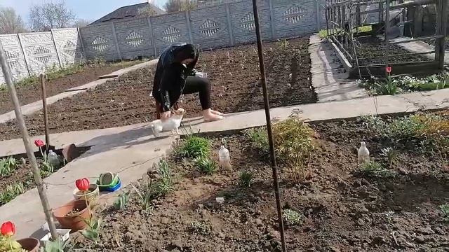 Домашняя Суета. Приехала Внучка с Покупками. Мои посадки Цветов. смотреть онлайн