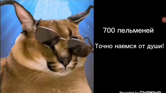 Сколько пельменей поместится в твою тарелку: смотреть онлайн