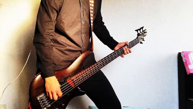 Architects - Dead Butterflies || Bass Cover смотреть онлайн