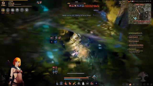 Black Desert [EU-Alustin] Flashy PK-PVP (Tamer) смотреть онлайн