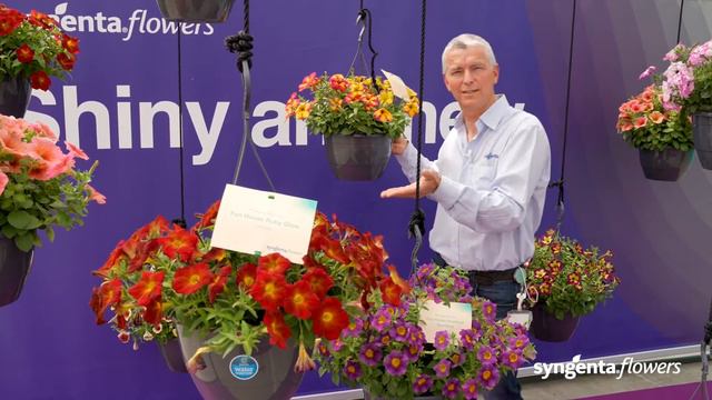 Petunie Funhouse - české Titulky