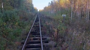 Пионерка. Узкоколейка. Сверхскорость. УЖД.