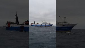 МРКТ Пётр I !!! Охотское море, зима 2019