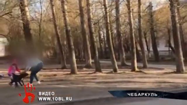 Хозяйку пса, который растерзал кошку на глазах детей, увезли в полицию смотреть онлайн