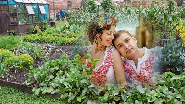 ЧОРНА РЕДЬКА смотреть онлайн