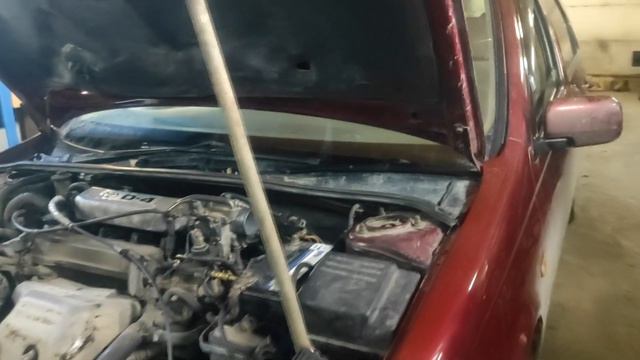 D 4 ПОПАДОС НА ПОЛТОС смотреть онлайн