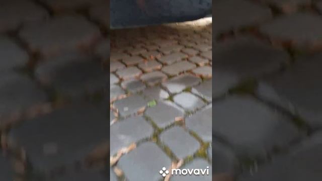 megane 3, 1 5 k9k . Регенерація сажевого фільтра смотреть онлайн