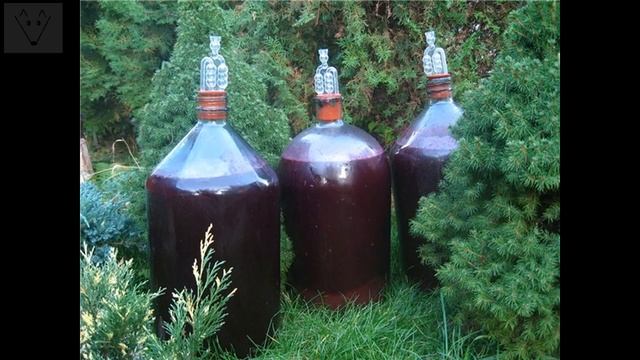 Дизайн Одежды