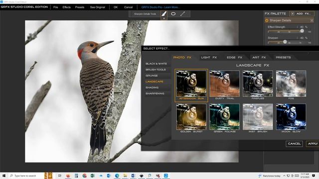 Photo Editing with Corel Paintshop Pro 2022 Ultimate and the GRFX plugin смотреть онлайн