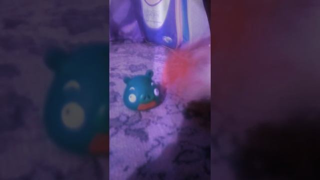 Дискотека других птиц смотреть онлайн