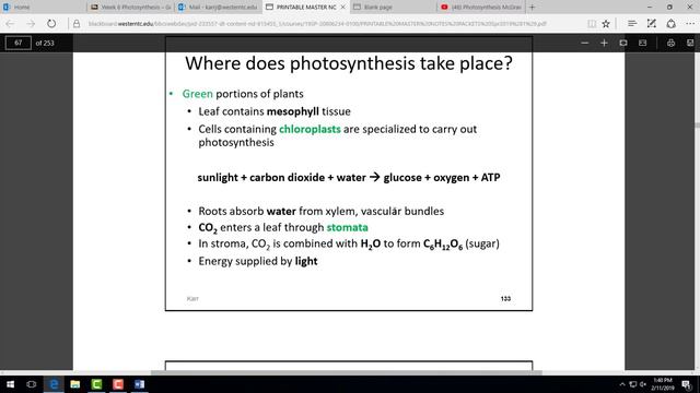 Gen Bio Lec Photosynthesis I смотреть онлайн