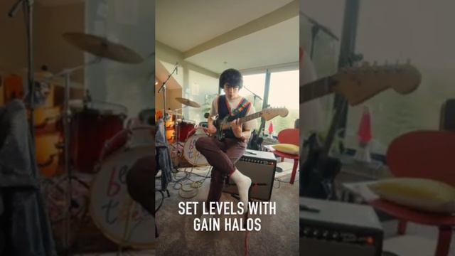 Get great guitar recordings using an amp w/ Scarlett смотреть онлайн