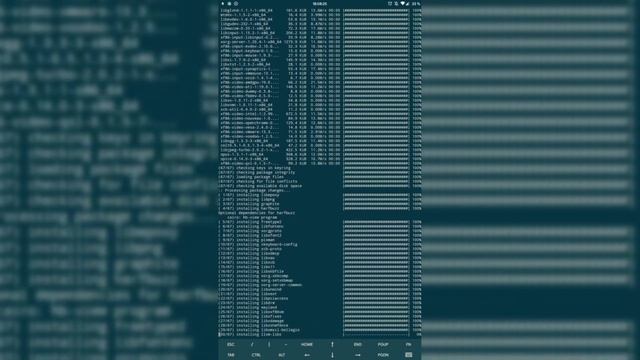 Установка Archlinux по SSH  с телефона