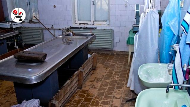 Циника из морга ищут все и везде. смотреть онлайн