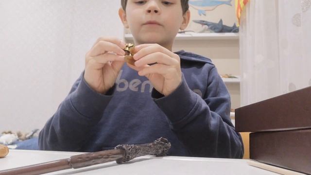 Распаковка волшебной палочки Гарри Поттера смотреть онлайн