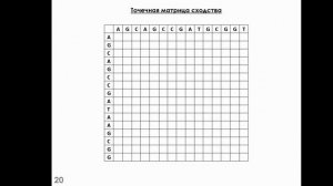 Введение в биоинформатику