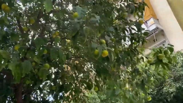 ??ДЕНЬ ОХИ?РАЗМОРОЗКА ХОЛОДИЛЬНИКА?ТАКО ВЕЧЕРИНКА смотреть онлайн
