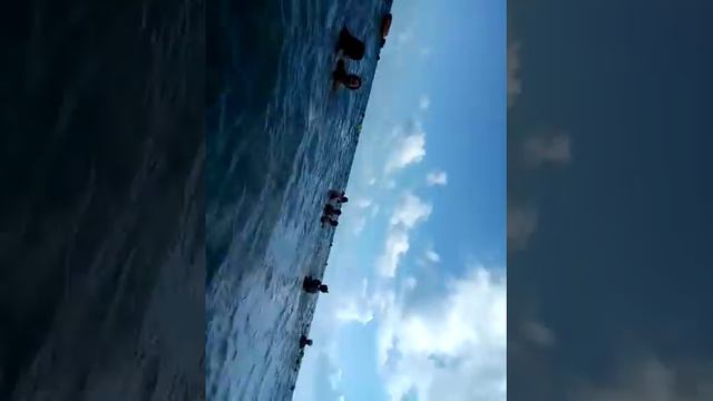 Срочная новость:Мы на море!!! смотреть онлайн