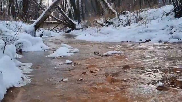 с.Лох Новобурасский район р.Соколка смотреть онлайн