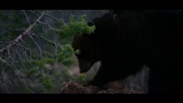 «Россия, Родина моя», автор Резаев Юрий (Георгий), читает Родион Гринберг смотреть онлайн